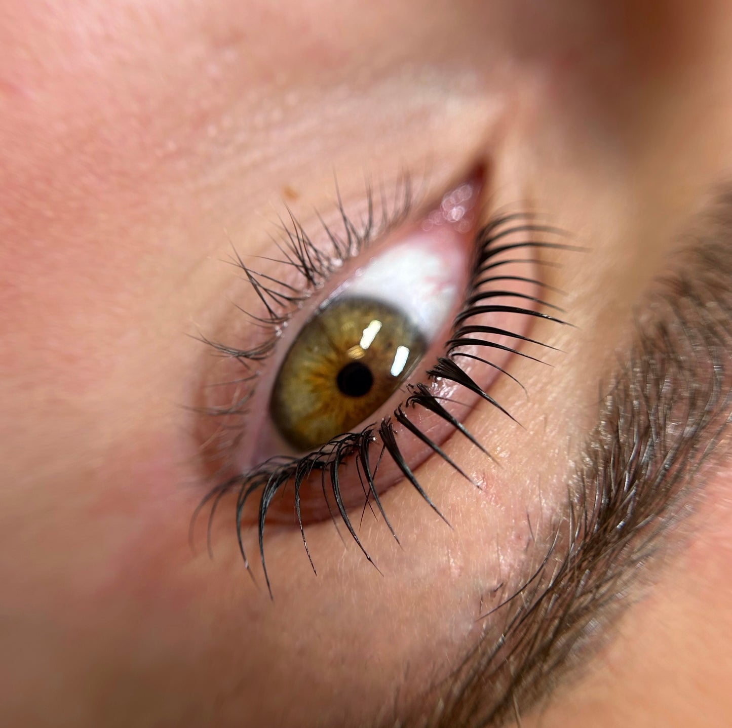 Korean Lash lift