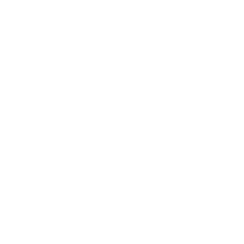 Boss Lashes
